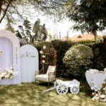 pexels-amos-getanda-244415932-20076477